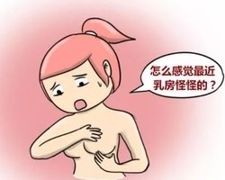 鷿ܳʲô