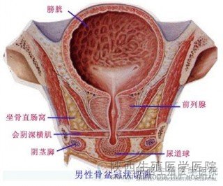 ǰӰ푑І